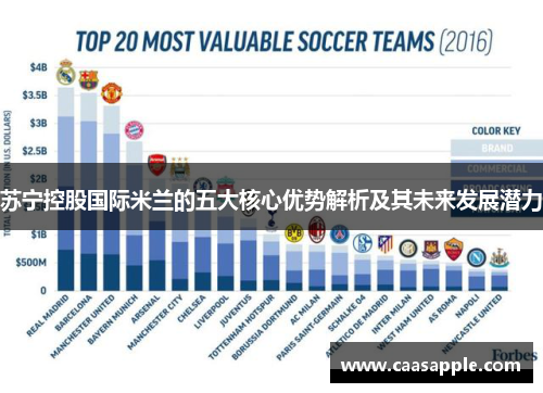 苏宁控股国际米兰的五大核心优势解析及其未来发展潜力