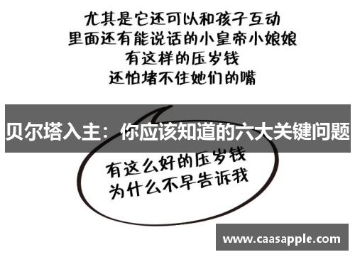 贝尔塔入主：你应该知道的六大关键问题